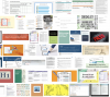 Screenshots of many different checklists.