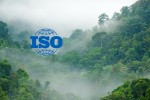 Jungle with ISO logo