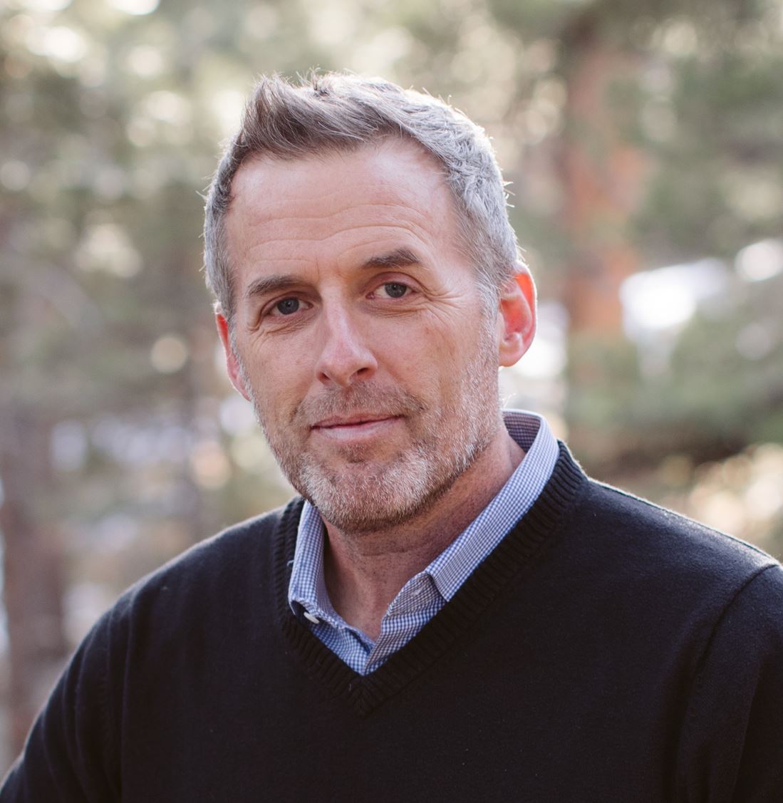 Stephen Collins – PDF Association