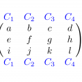 A bordered matrix