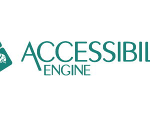 Solimar Systems Accessibility Engine