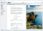 Scrivener Windows View Research