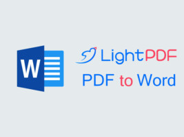 LightPDF - PDF to Word logo