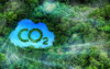 Picture of trees in a forest with a cloud with CO2 imposed on it