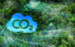 Picture of trees in a forest with a cloud with CO2 imposed on it