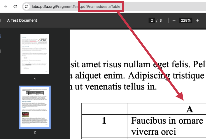 Screenshot of a URL using a named destination fragment identifier.