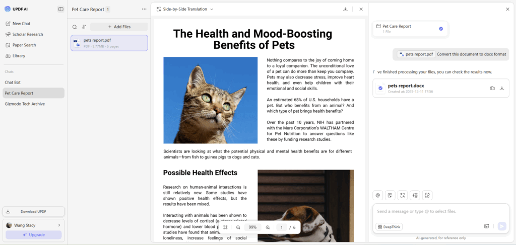 pdf to word screenshot