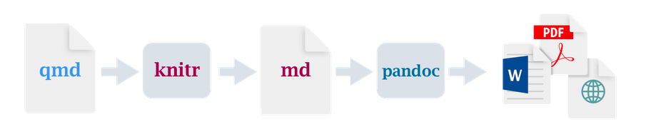 Workflow diagram showing a qmd file processed by knitr into an md file, then passed through pandoc to produce multiple outputs—PDF, Word document, and a web/HTML file—represented by arrowed file and application icons.